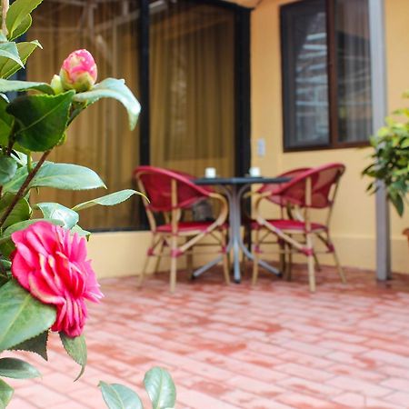 Lasha Apartment Tbilisi Exteriér fotografie